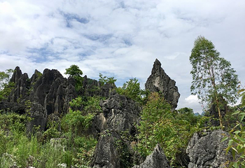 泥凼石林风景区第 15 张图片