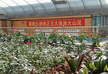 花溪地温泉生态乐园第 29 张图片