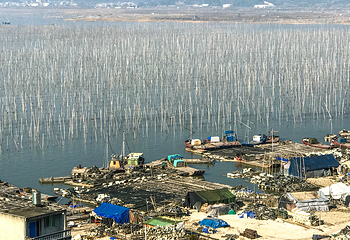 沙江S湾第 26 张图片
