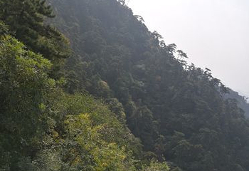 景忠山第 37 张图片