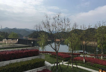 千岛湖马术公园第 7 张图片