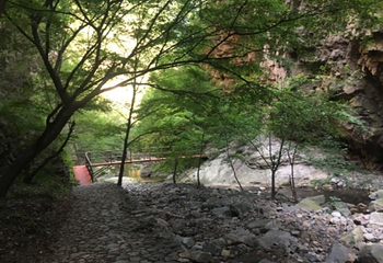 九龙潭景区（青松岭大峡谷）第 16 张图片
