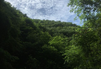 翡翠峡第 10 张图片