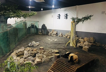 下渚湖熊猫园第 32 张图片