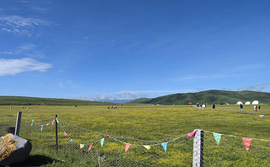 俄么塘花海景区第 58 张图片