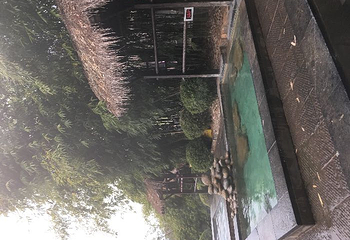 崇阳浪口森林温泉第 33 张图片
