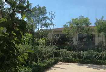 平山温泉第 4 张图片