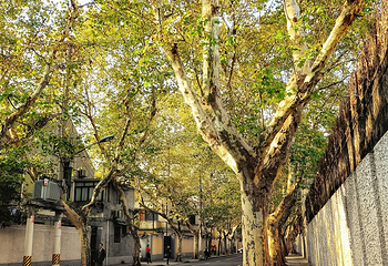 余庆路第 9 张图片