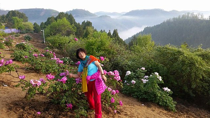 万花山第 21 张图片