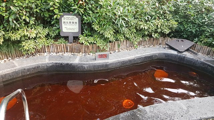 慈溪达蓬山温泉第 16 张图片