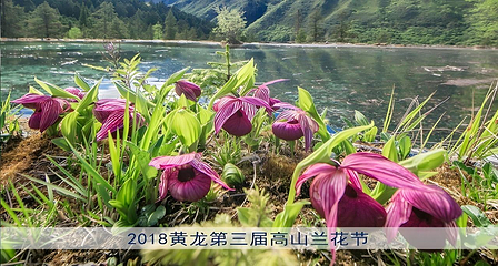 黄龙风景名胜区第 6 张图片