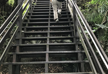 大坑风景区第 10 张图片