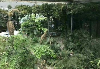 云台山锦绣云台度假村第 8 张图片