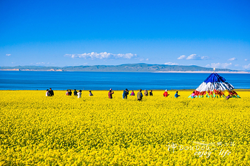 青海湖景区第 34 张图片