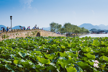 西湖风景名胜区第 496 张图片