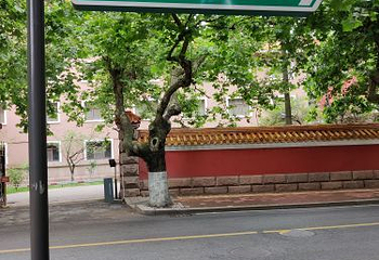 八大关第 128 张图片