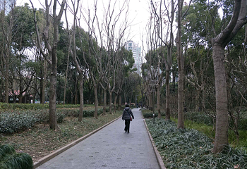 徐家汇公园第 25 张图片