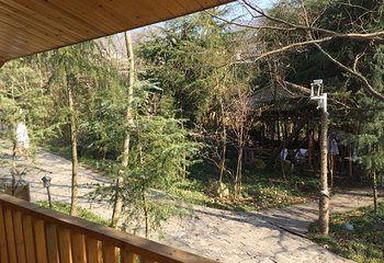 鸡公山依云森林温泉第 14 张图片