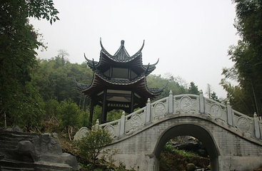 梅岭太阳谷大型梅花文化节第 24 张图片