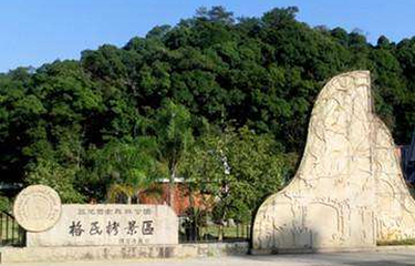 三元格氏栲第 22 张图片