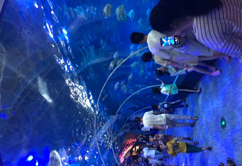 重庆汉海海洋公园第 69 张图片