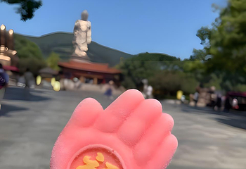 灵山大佛第 281 张图片