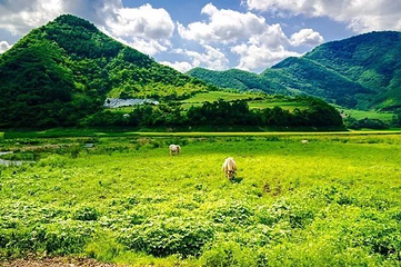 万亩油菜花海第 11 张图片
