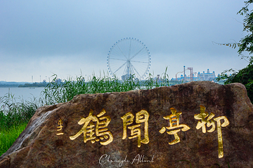 湖仙岛第 17 张图片