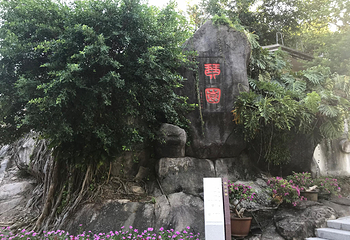 琴园第 3 张图片