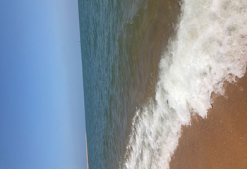 博鳌亚洲论坛成立会址第 27 张图片