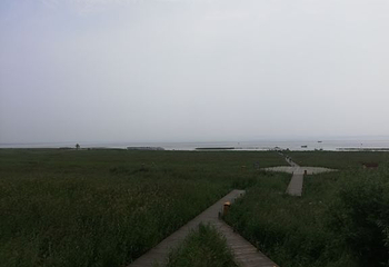 凉城岱海第 34 张图片