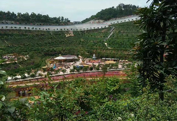 香家堡梦幻花世界第 10 张图片