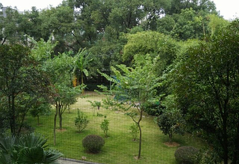 桂林园林植物园第 27 张图片