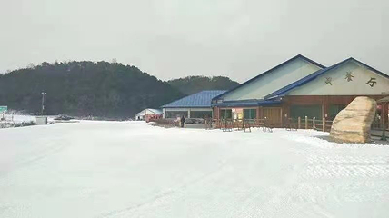 云佛山第 14 张图片