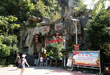 红果树第 22 张图片