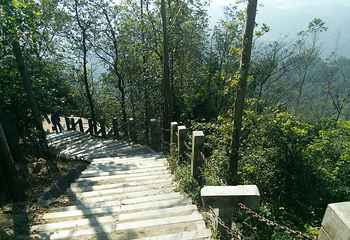 莲花山郊野公园第 5 张图片