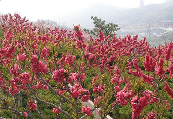 赤山风景区第 36 张图片