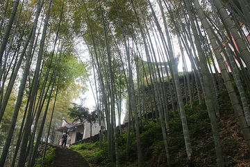 宁德南山漈风景区第 20 张图片