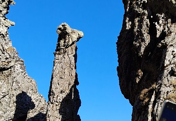 神农顶风景区第 73 张图片
