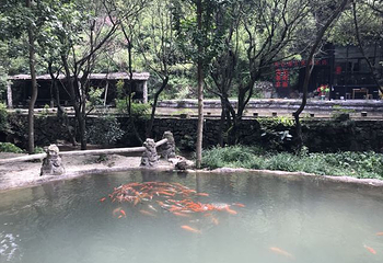 白石湾风景区第 35 张图片