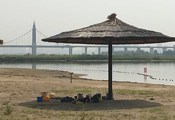 金河湾湿地植物园第 18 张图片