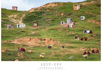 亚青寺第 14 张图片