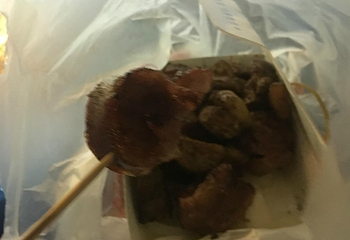 垦丁大街第 20 张图片