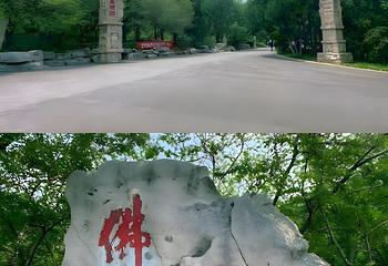 千佛山第 118 张图片