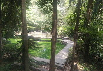 华岩寺第 90 张图片