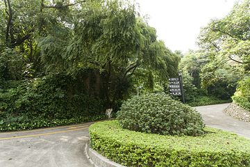 阜峰文塔第 8 张图片