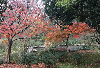 乌龟潭景区第 13 张图片