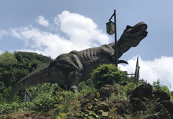 香榧森林公园第 39 张图片
