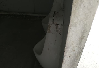 普兰斯薰衣草庄园第 15 张图片