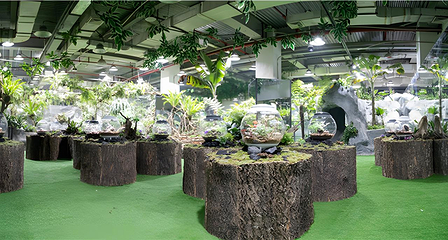 厦门科技馆第 29 张图片